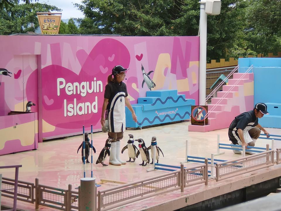 ペンギンショー.jpg